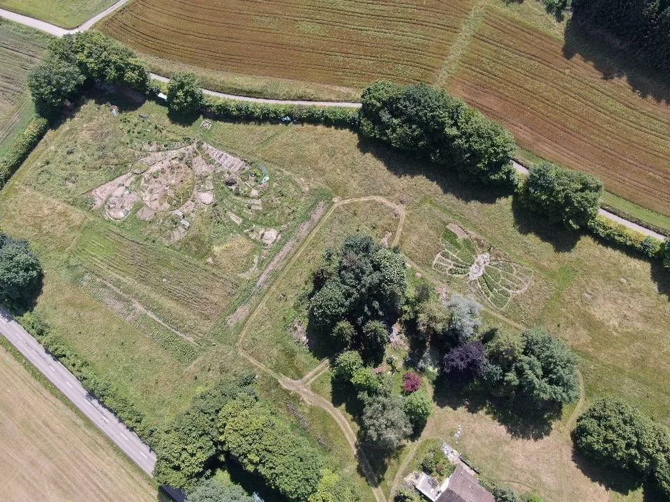 Blick von oben auf ein Feld mit Wildpflanzen.